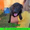 Cinder - Photo 6