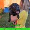 Cinder - Photo 7