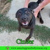 Cinder - Photo 8