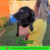 Cinder - Photo 9