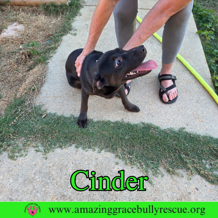 Cinder