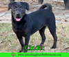 Cinder - Photo 2