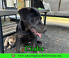 Cinder - Photo 4