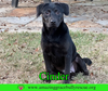 Cinder - Photo 5
