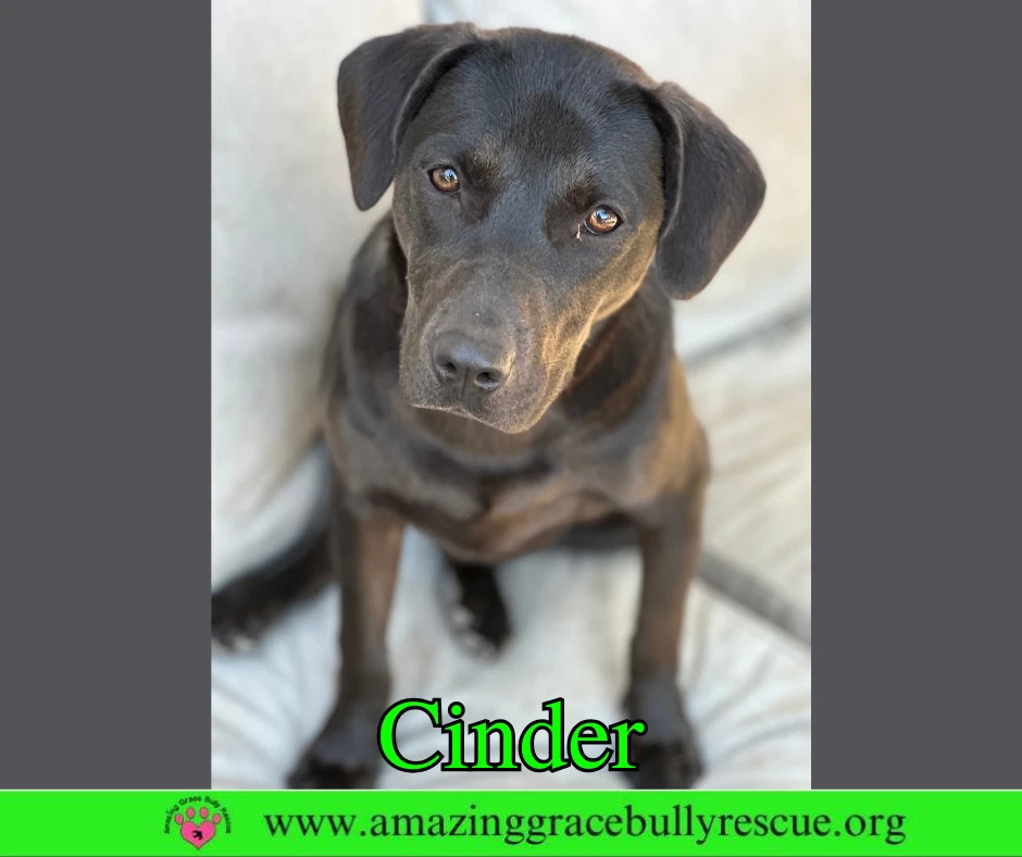 Cinder
