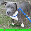 Parker - Photo 1