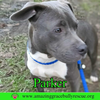Parker - Photo 6