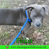 Parker - Photo 7