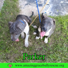 Parker - Photo 8