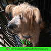 Vix - Photo 4