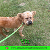 Vix - Photo 5