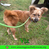 Vix - Photo 6