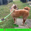 Vix - Photo 8