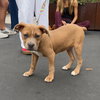 Jilly - Photo 14