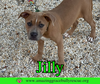 Jilly - Photo 10