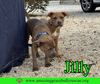 Jilly - Photo 11