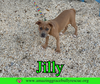 Jilly - Photo 13