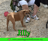 Jilly - Photo 15