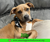 Jilly - Photo 4