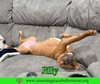 Jilly - Photo 7