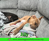 Jilly - Photo 8