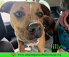 Jilly