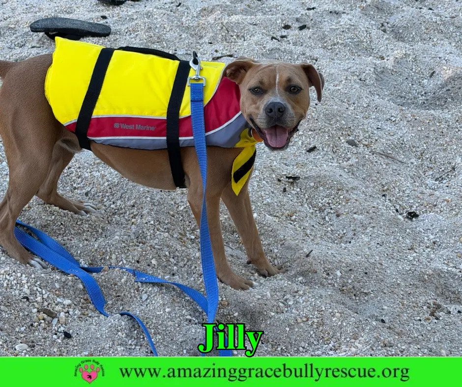 Jilly image 3