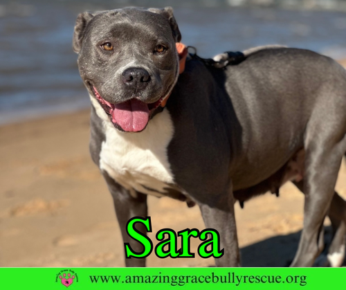 Sara, photo 2