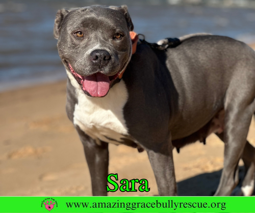 Sara, photo 6