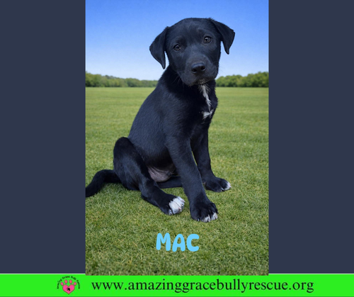 Mac