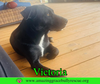 Victoria