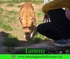 Tammy