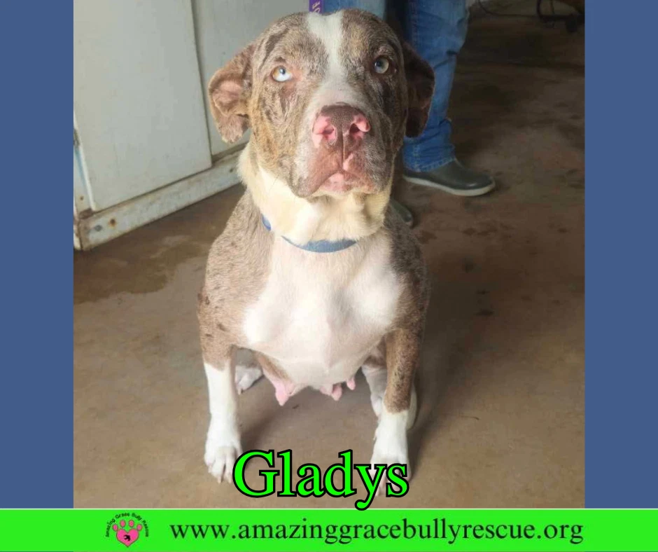 Gladys