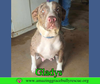 Gladys
