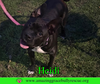 Heidi
