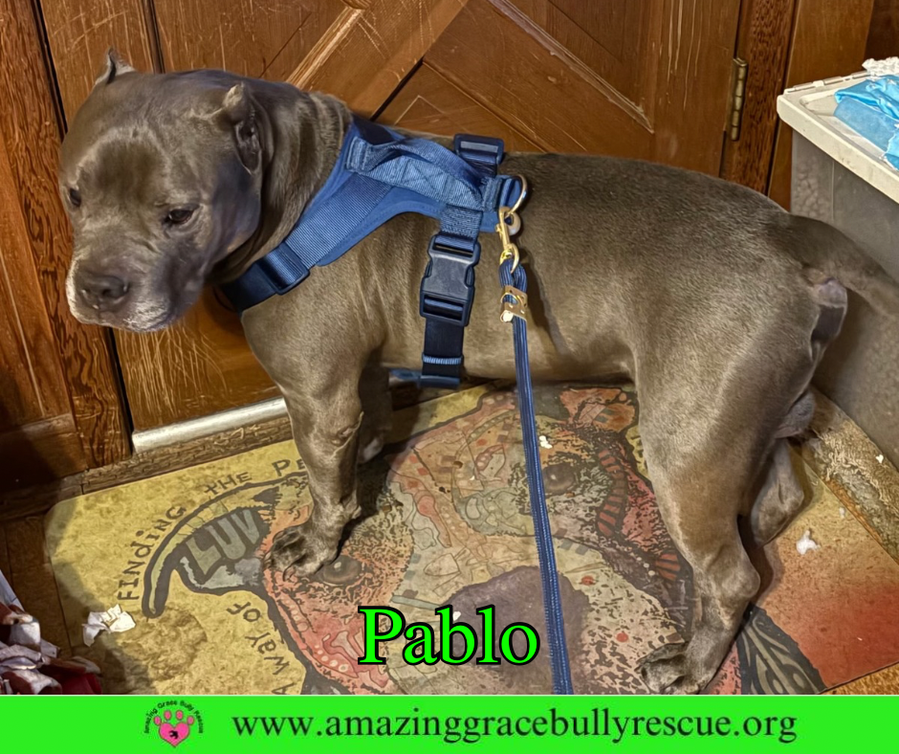 Pablo