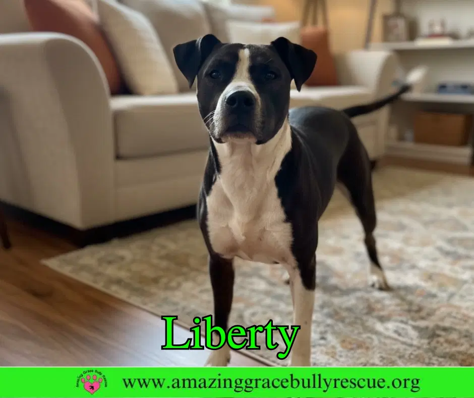 Liberty image 3