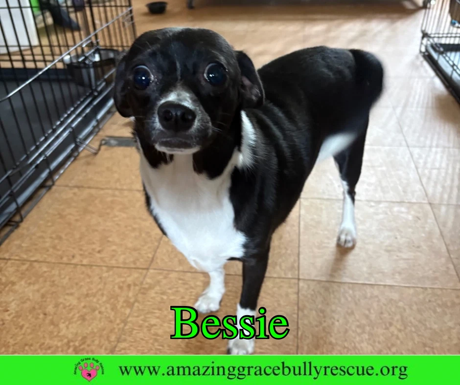 Bessie