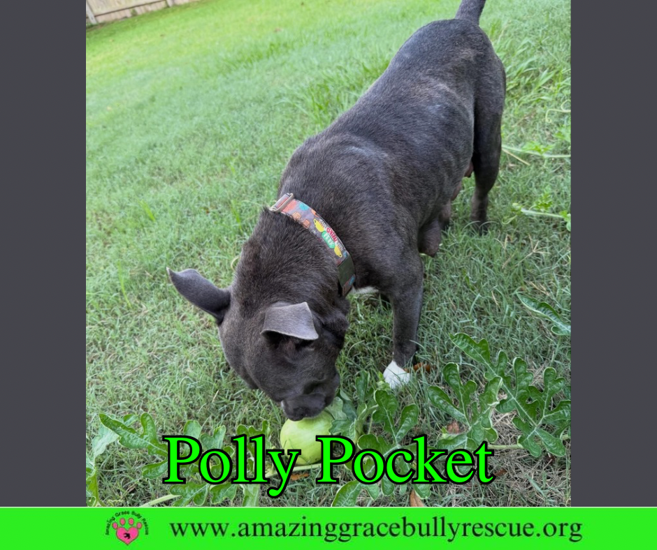 Polly Pocket, photo 9