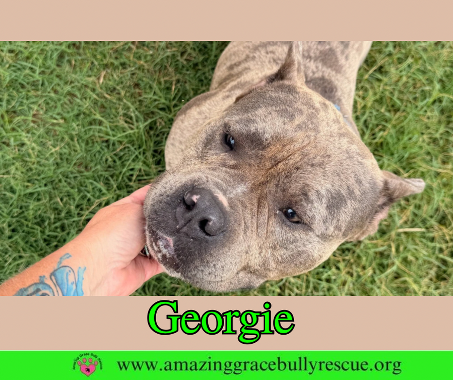Georgie