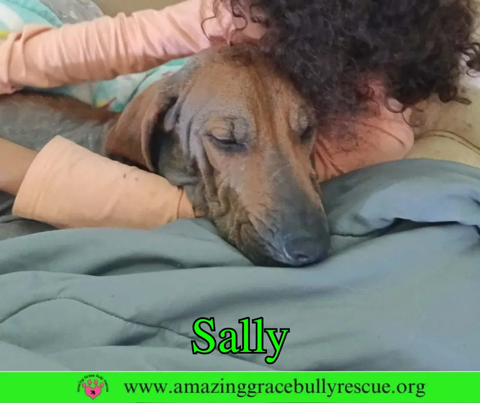 Sally image 3