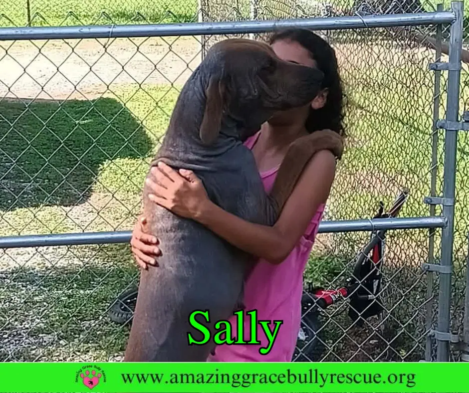 Sally image 4