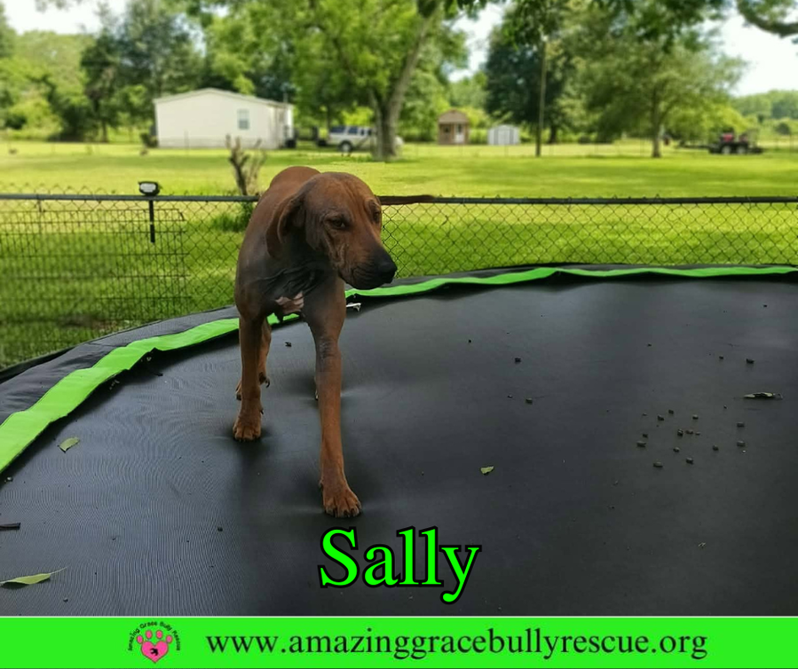 Sally 2