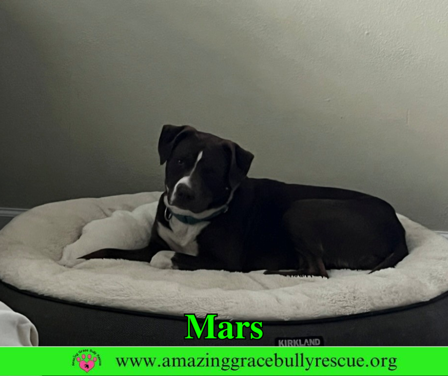 Mars