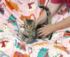 Mr. Beans YOUNG TABBY MALE