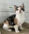 Amy