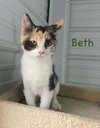 Beth