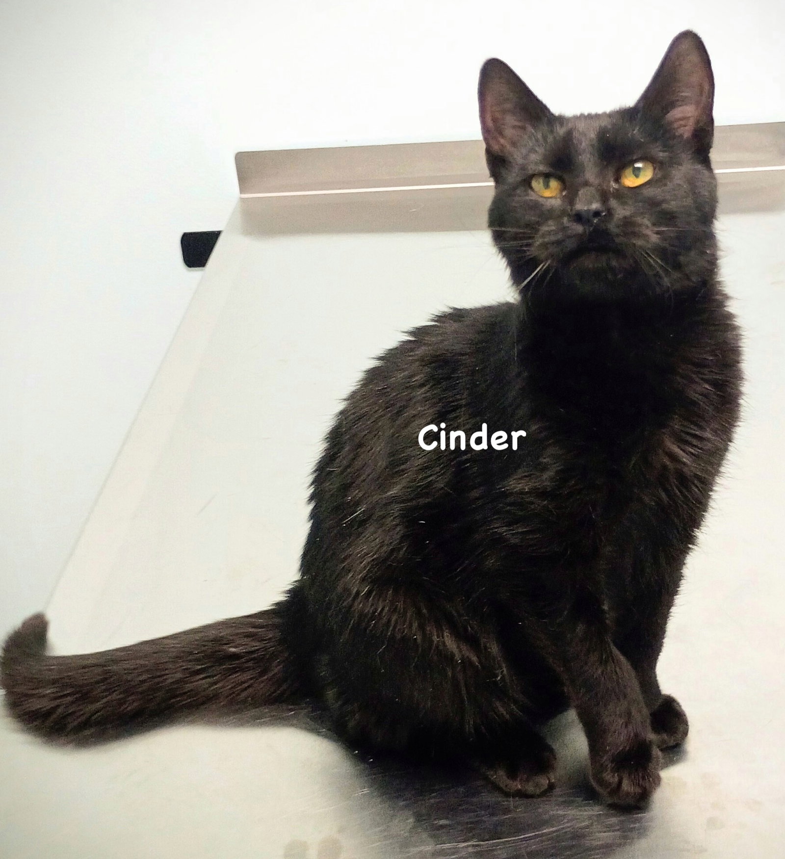 Cinder Image