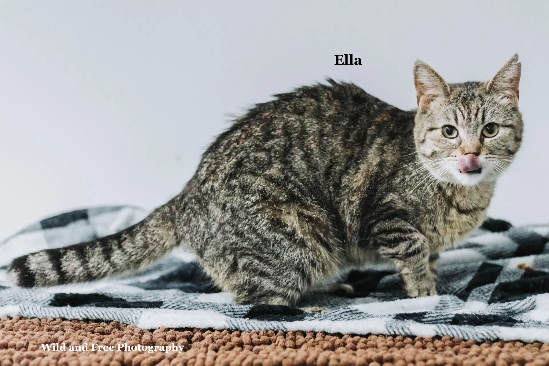 Ella image 2