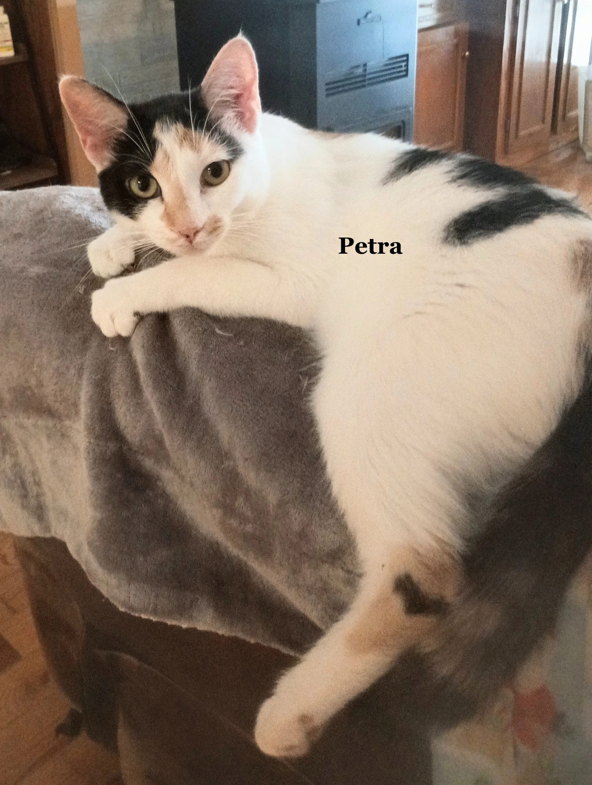 Petra